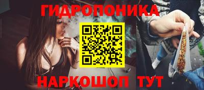 амф Гусь-Хрустальный