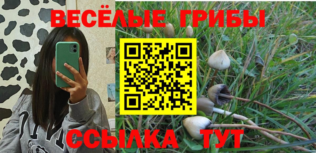 Псилоцибиновые грибы Cubensis  Галлюциногенные грибы ЛСД  Новочеркасск  купить закладку  Вход с VPN 